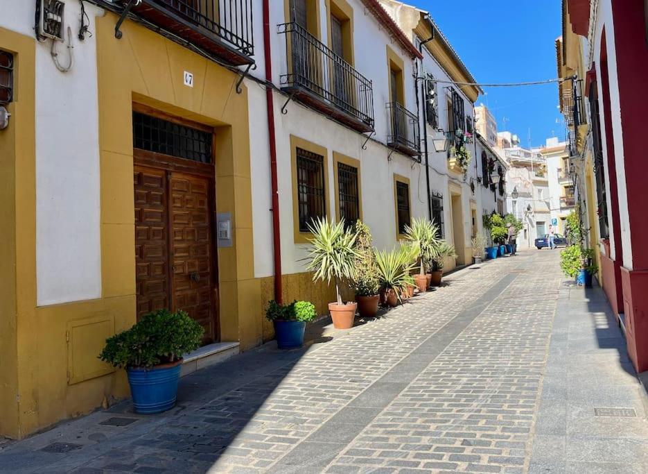 Apartment El Patio De Wallada