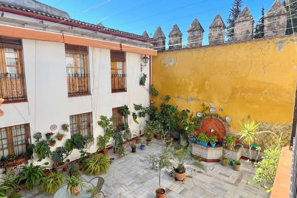 El Patio De Wallada * Cordoba