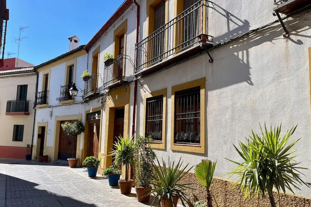 Apartment El Patio De Wallada